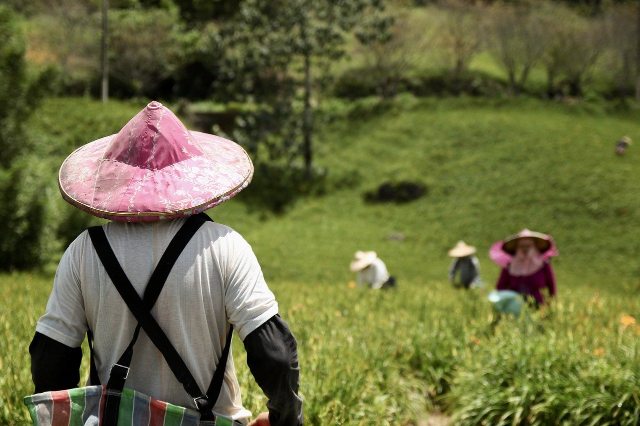 Artificial Intelligence: A Boon for the Agriculture Industry